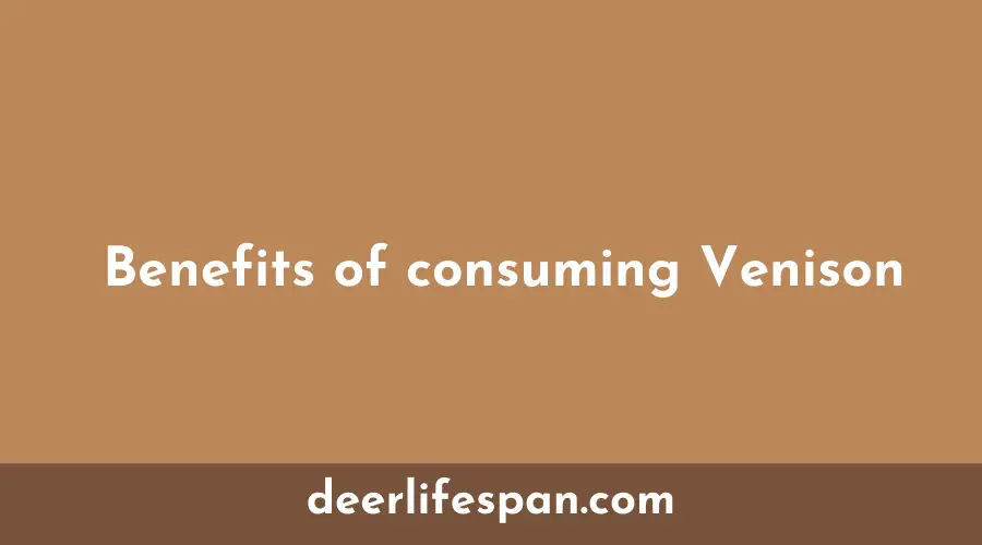 Benefits of consuming Venison
