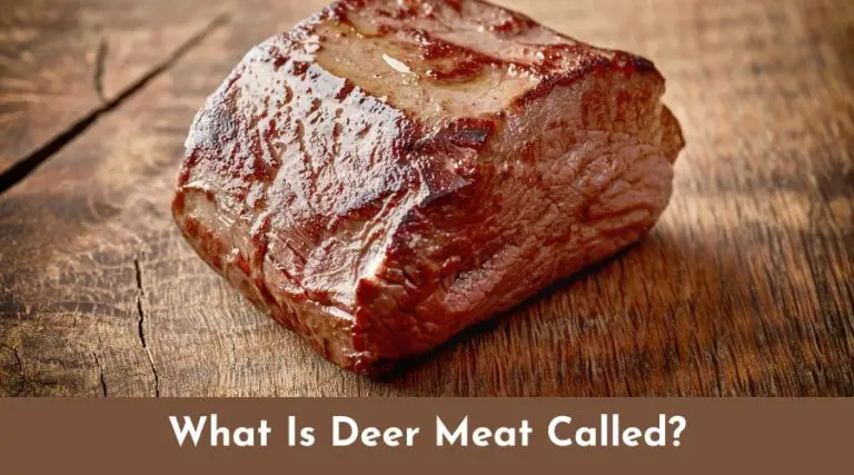 what-is-deer-meat-called-deerlifespan