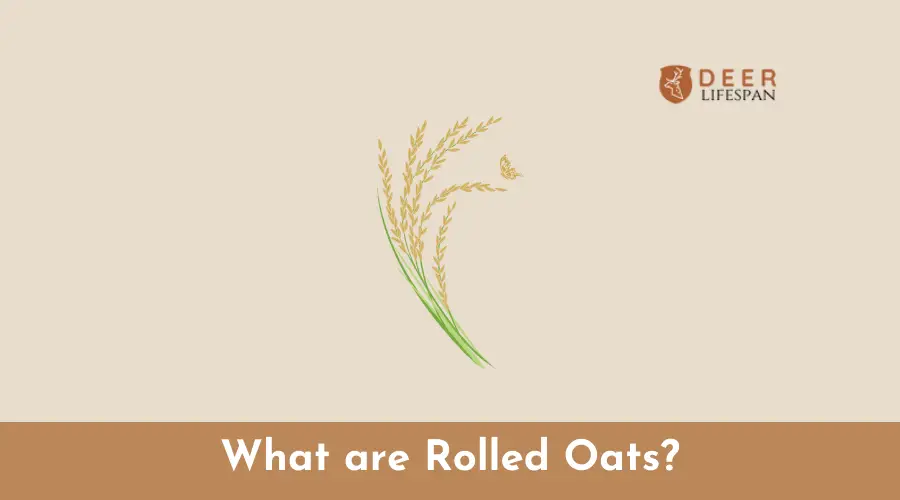 Rolled Oats Pic
