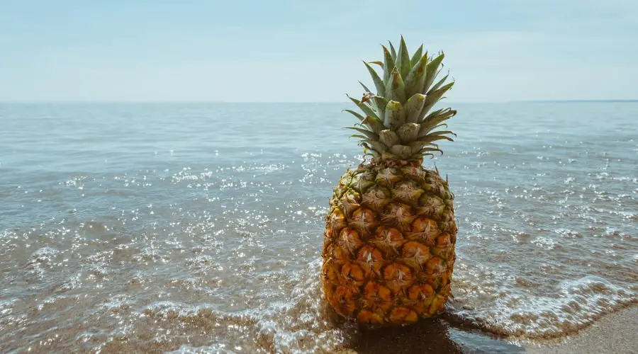 Pineapple Fight Against Inflammation